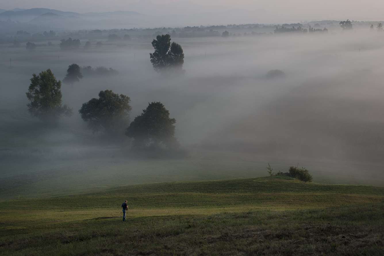 Misty country scene