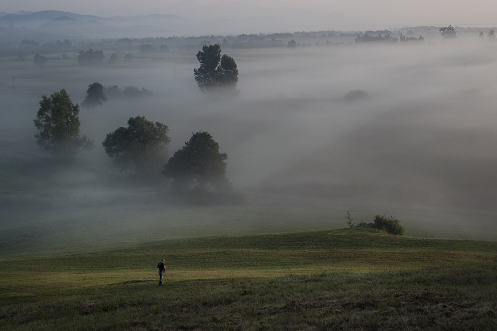 Misty country scene